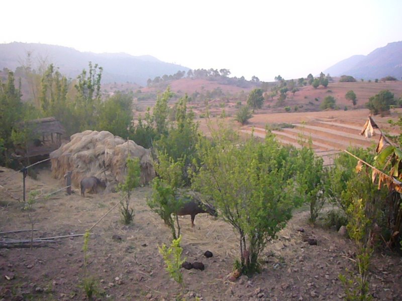 Travel - Myanmar - Kalaw Shan - Trek To Second Village
